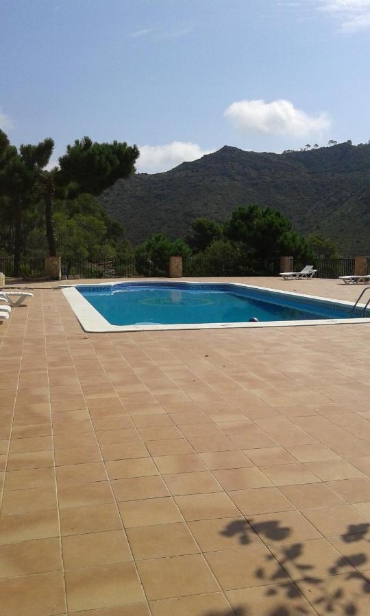 Riviera Apartamento Benicàssim Exterior foto